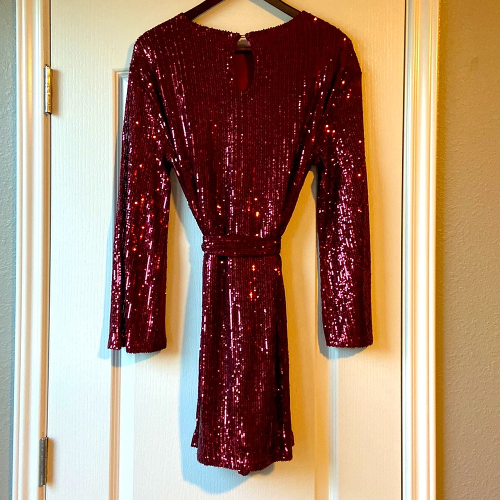 Ruby Sequined Dress - image 3